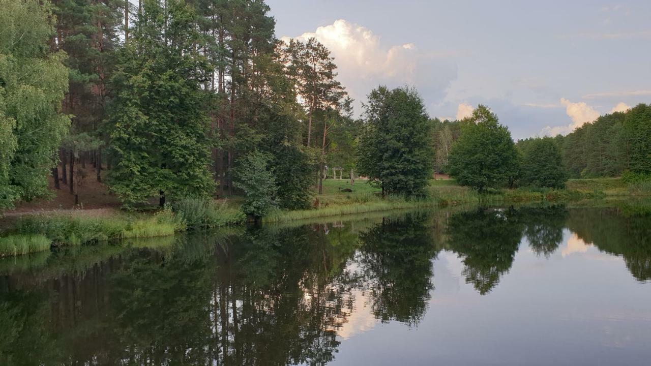 Garden Studio By The Lake With Air-Con And Infrasauna Друскининкай Екстериор снимка